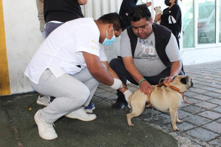 Inició en Tlaxcala la Jornada Nacional de Vacunación Antirrábica Canina y Felina 2023