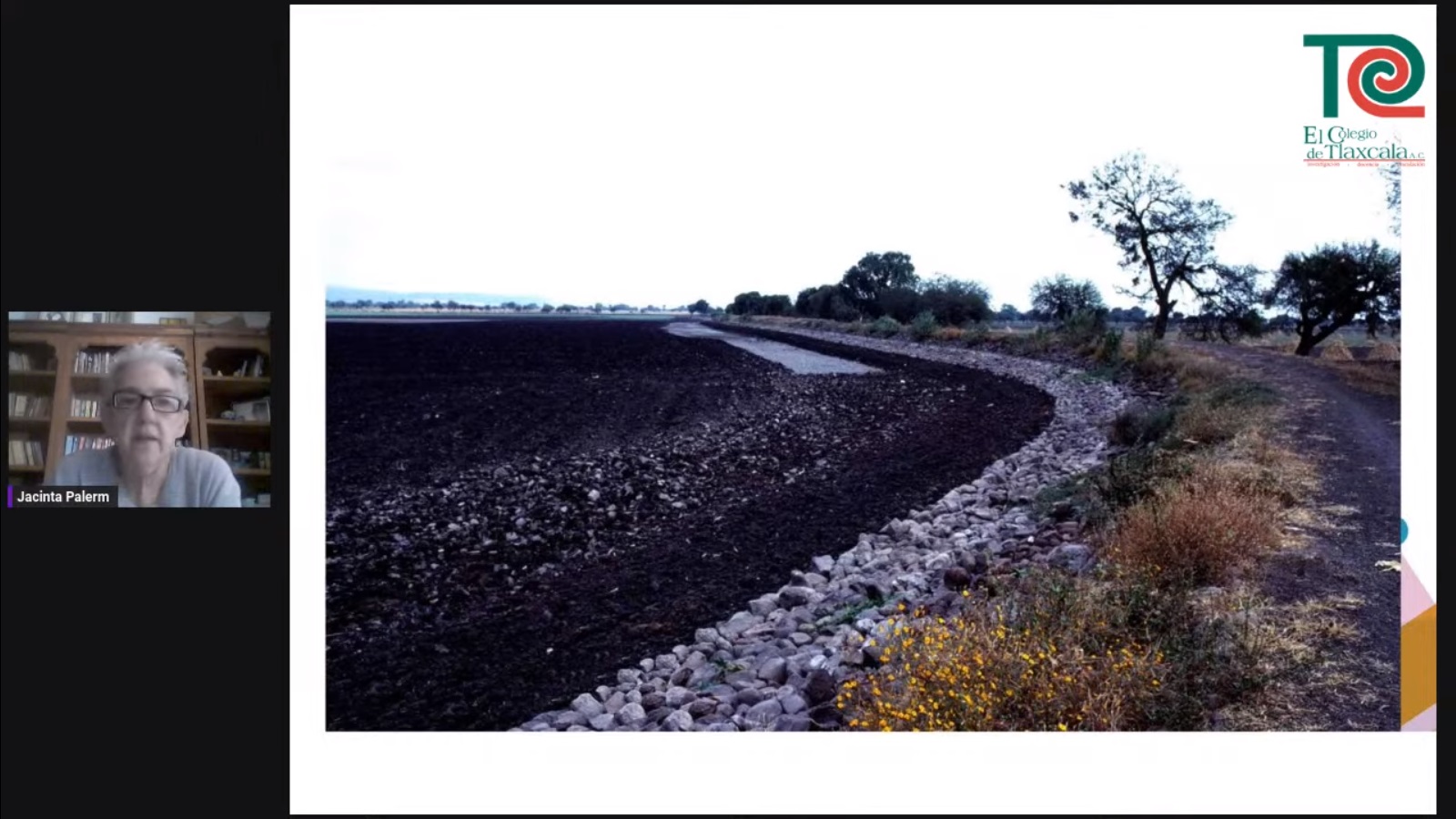 WhatsApp Image 2023-03-29 at 16.31.56 (3)