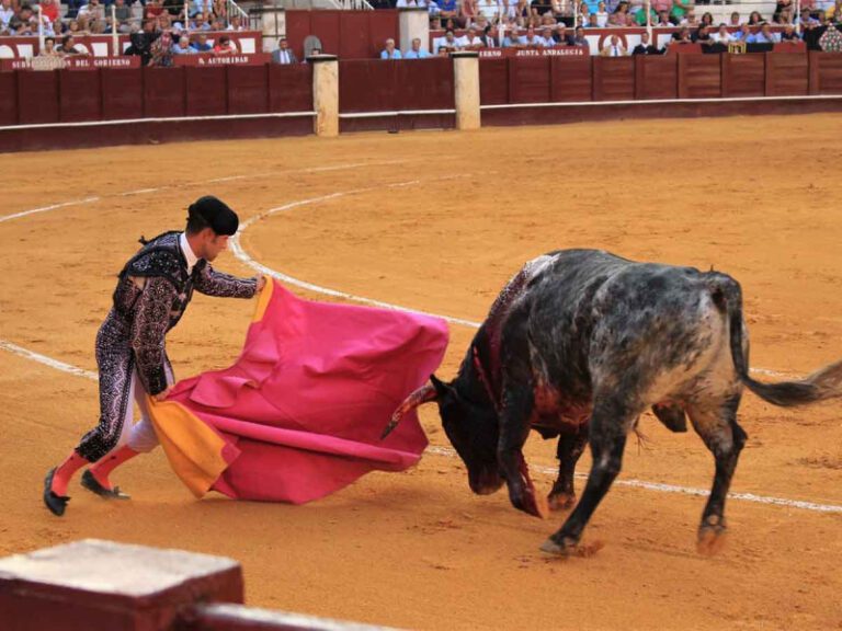 Colombia hunde proyecto para prohibir corridas de toros