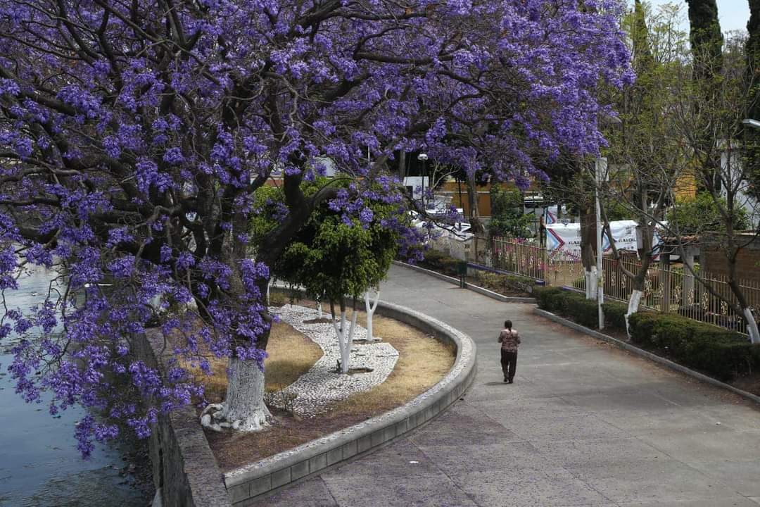 341083740_625491492246623_1034748812523279285_n