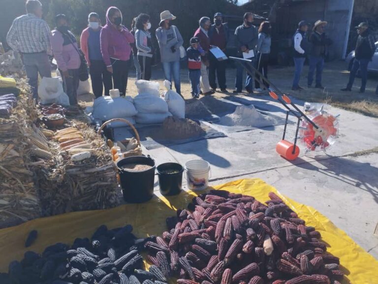 Capacita SIA para transitar de la agricultura tradicional a una orgánica