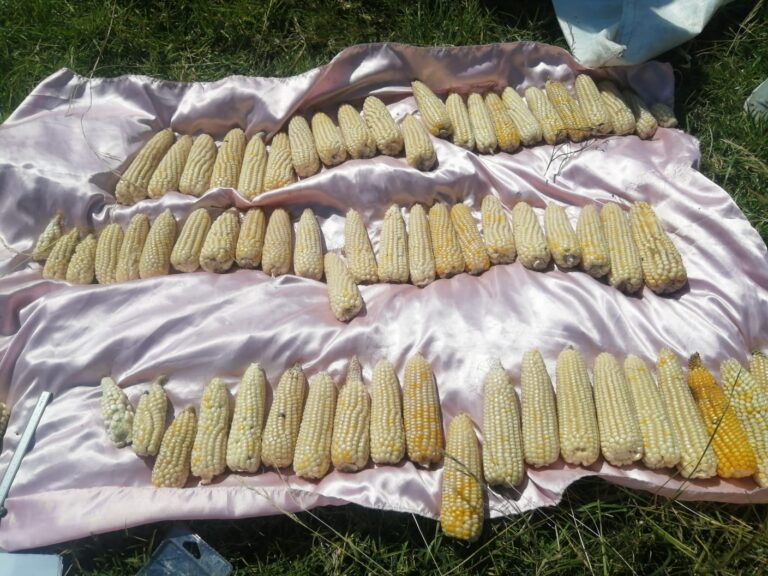 Realizará SIA Foro Estatal «La Agroecología en Tlaxcala: Desafíos y Alcances»