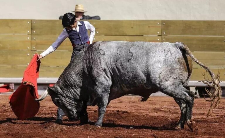 Representará Marco Peláez a Tlaxcala en «Encuentro Mundial de Escuelas Taurinas»