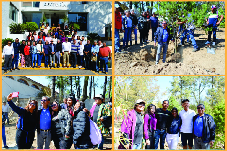Mantiene UATx reforestación del campus Rectoría