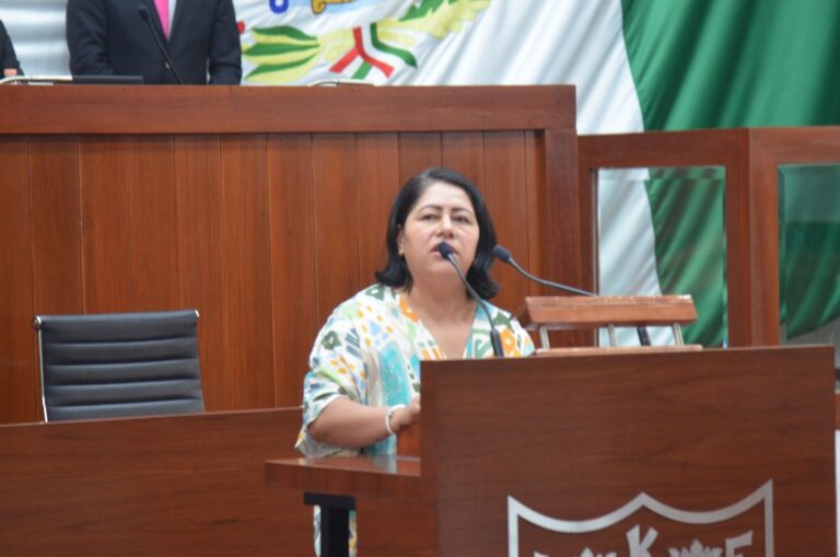 Congreso: Águila y Temoltzin Alertan Sobre Extinción del INSABI