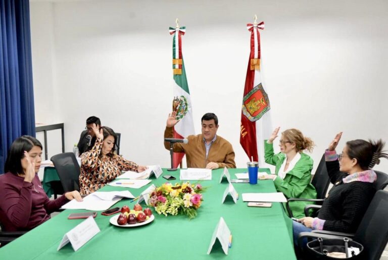 Diputados aprueban la minuta para reducir la edad para ocupar cargos públicos