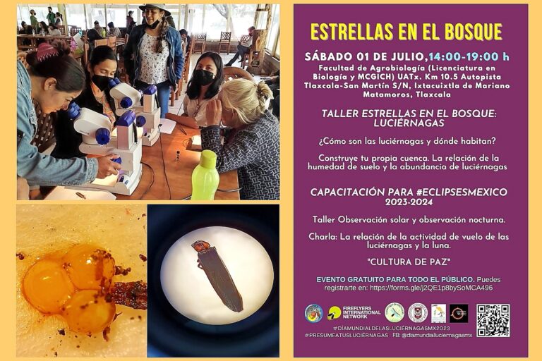 Contribuye UATx a la Conservación de las Luciérnagas