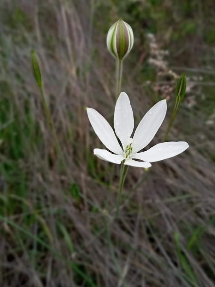 353427239_785377396706040_6750662653122195397_n