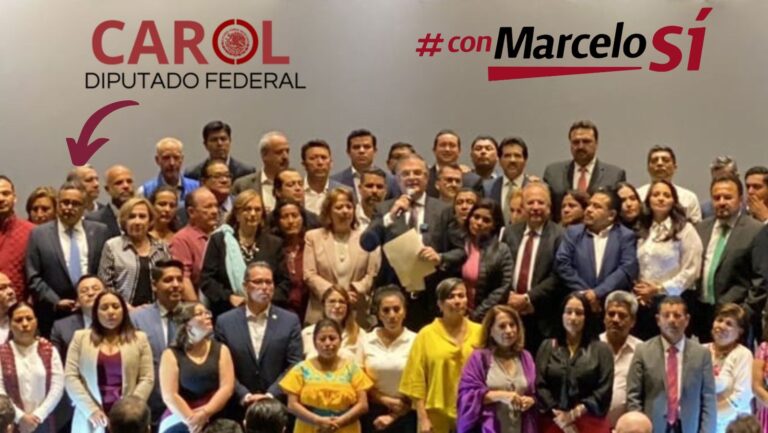 El anuncio de Marcelo es un buen mensaje para la democracia en el país y para Morena: Carol Altamirano 