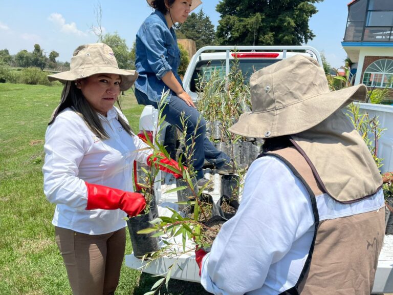 Autoridades y Sociedad Civil Realizaron Acciones “Por el Bienestar de La Laguna”