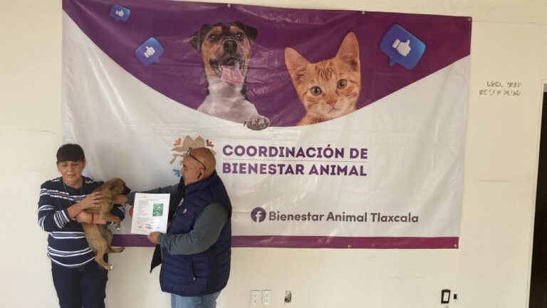 Inicia Bienestar Animal Trámite de la Clave de Registro Única de Animales de Compañía