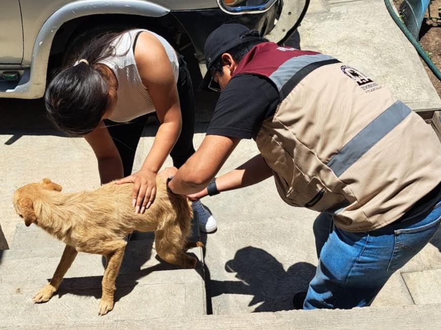 WhatsApp Image 2023-06-16 at 15.41.20