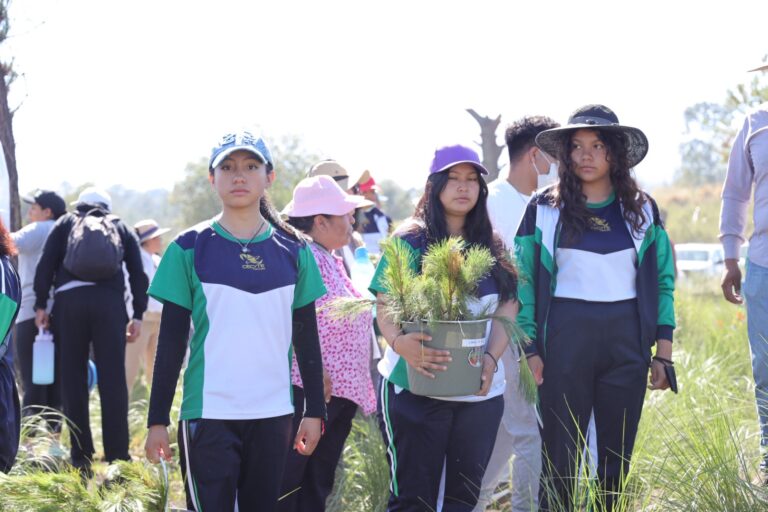 Estudiantes del Cecyte Plantaron 2 mil 100 Árboles en La Malinche