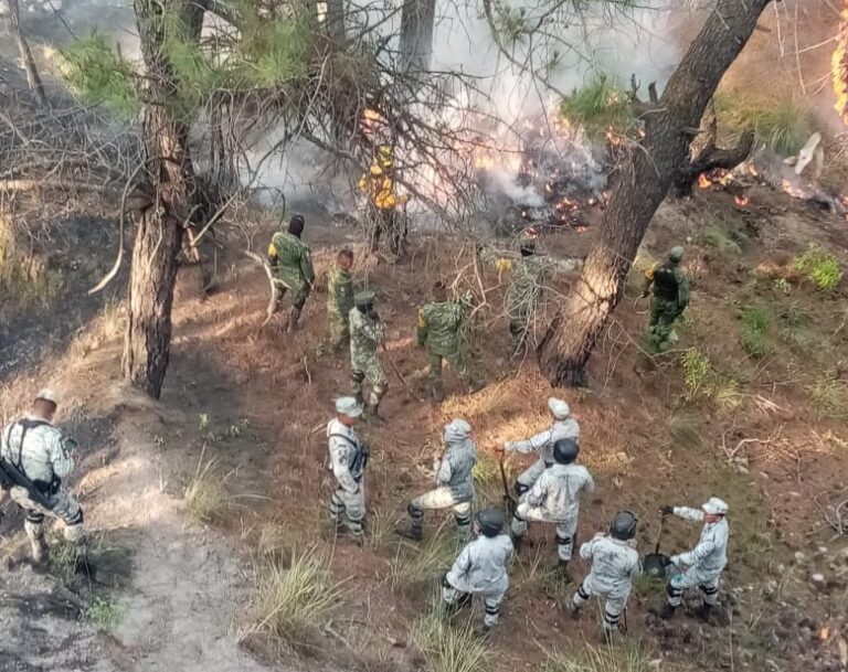Controlaron Autoridades Incendios Forestales en Cuatro Municipios