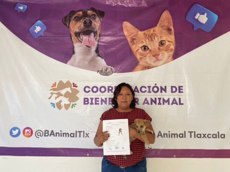 Logra CBA 15 adopciones de animales en condición de calle