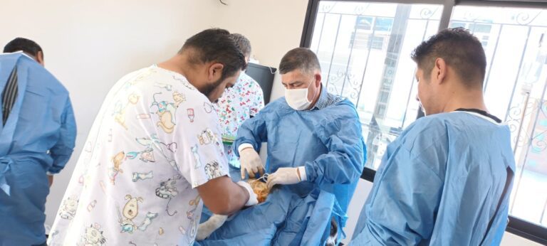 Atiende CBA Llamados de Emergencia del 911 Sobre Lesiones y Accidentes de Perros y Gatos