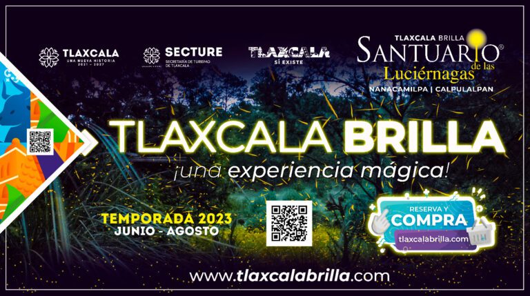 Reporta Secture Incremento de Luciérnagas por Presencia de Lluvias