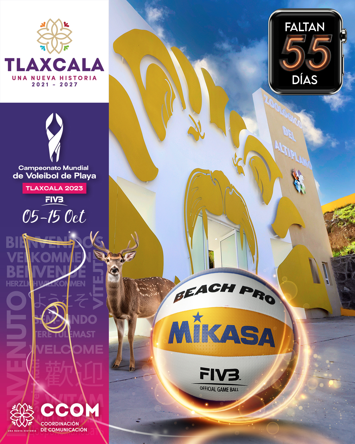 CONTADOR REDES 55 DÍAS