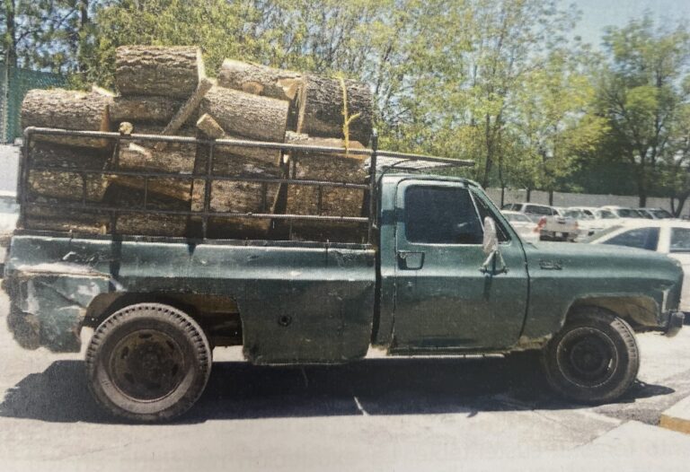 Vinculan a proceso a cuatro personas por delitos ambientales en La Malinche