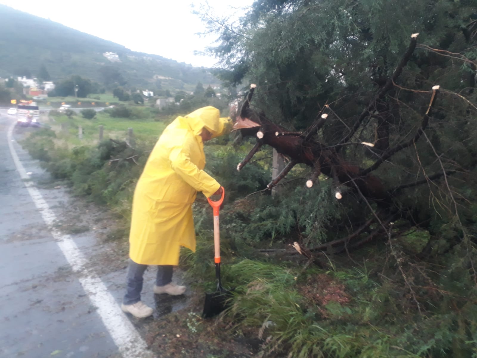 WhatsApp Image 2023-08-11 at 20.36.11 (3)