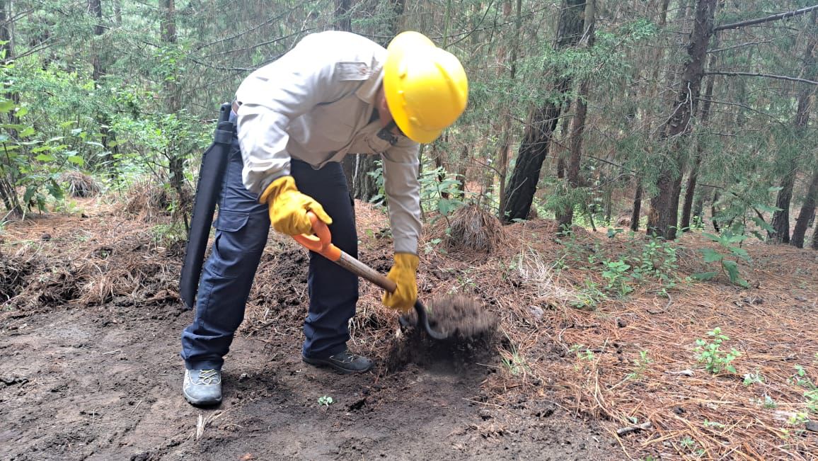 WhatsApp Image 2023-08-27 at 15.45.34 (4)