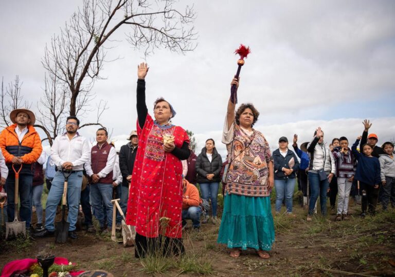 Realiza Secretaría de Bienestar Jornada de Reforestación “Matlalcuéyatl 2023”