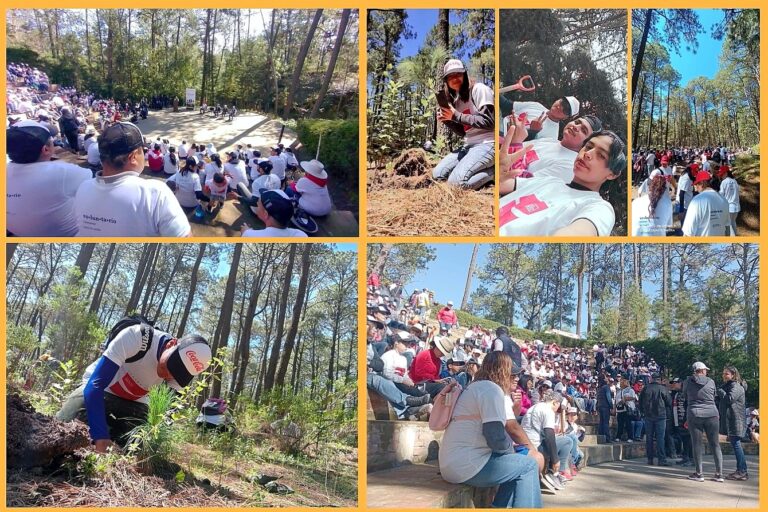 Colabora UATx en reforestación del Parque Nacional La Malinche