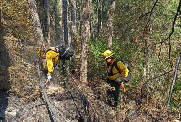 Brigadistas forman parte de los contingentes enviados en apoyo a Canadá ante incendios forestales