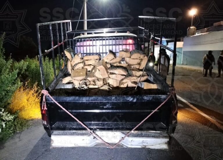 Detienen en La Malinche a Cuatro por Delitos Ambientales