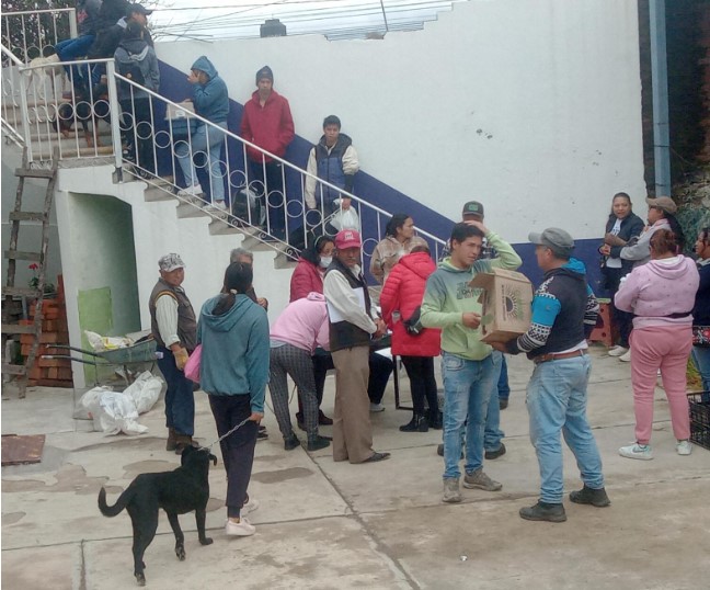 Realizará Sector Salud Jornada de Esterilización de Perros y Gatos en Chiautempan y Tlaxcala