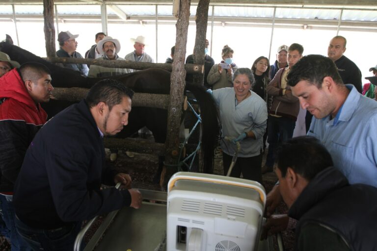 Ofrece SIA Capacitación a Ganaderos Sobre Reproducción de Équidos