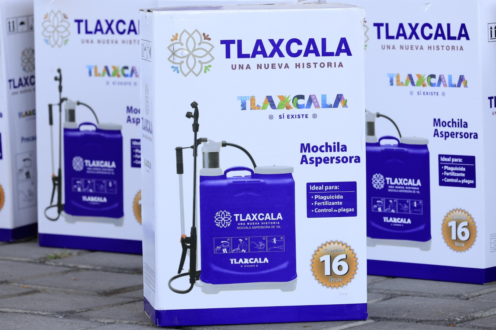 WhatsApp Image 2023-11-03 at 15.20.49 (5)