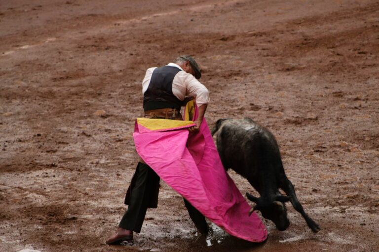 Inician Tientas Públicas de «Tlaxcala, La Feria de Ferias 2023»