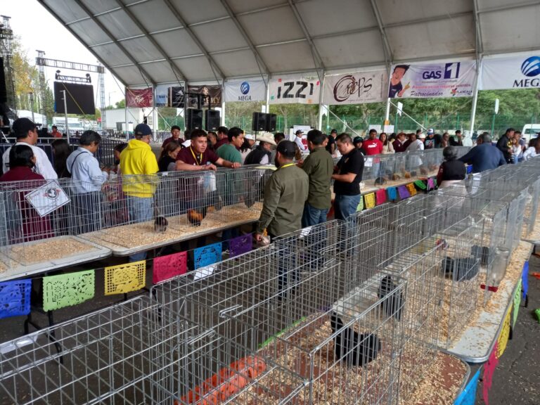 Realizan Expo Gallo Miniatura y de Raza en “Tlaxcala, La Feria de Ferias 2023”