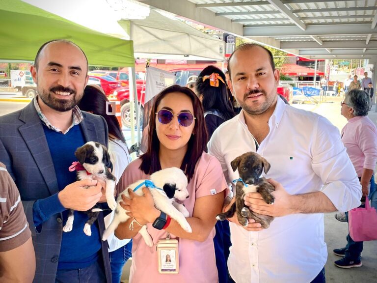 Exitosa, Segunda Jornada de Adopción Canina