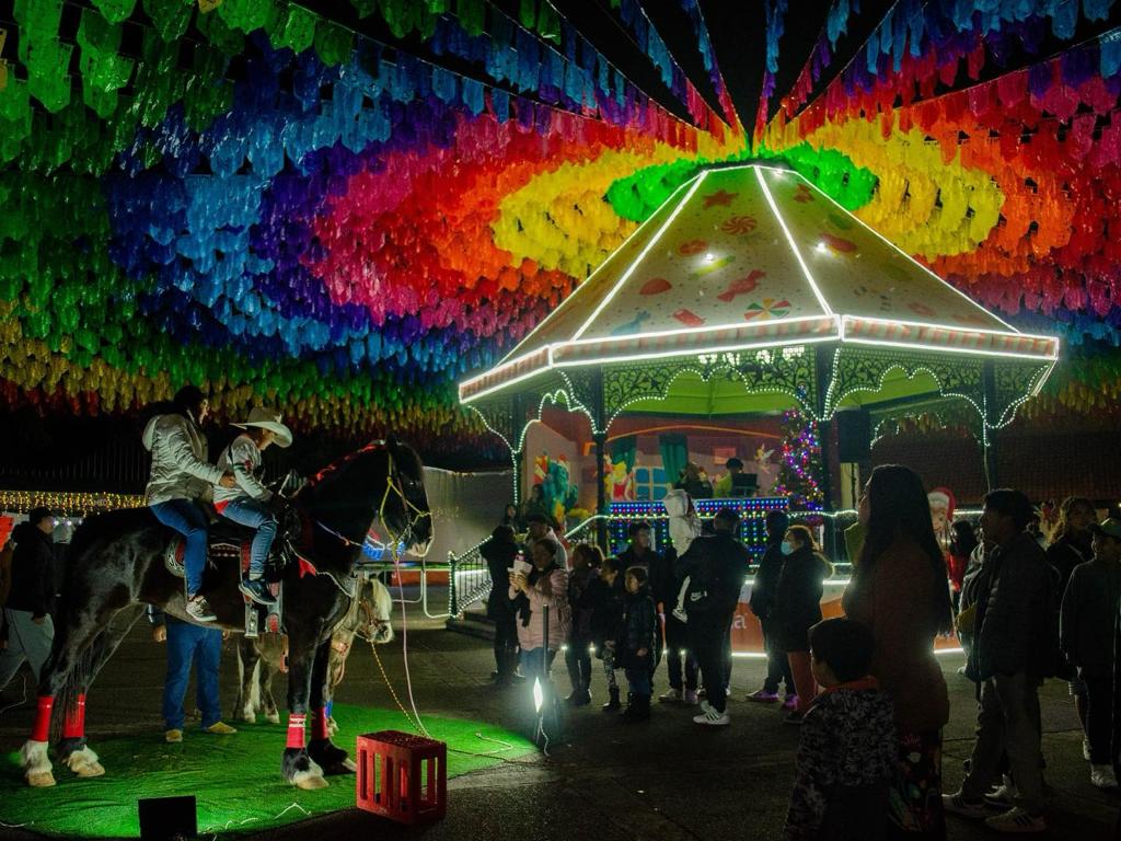 WhatsApp Image 2023-12-29 at 12.39.49