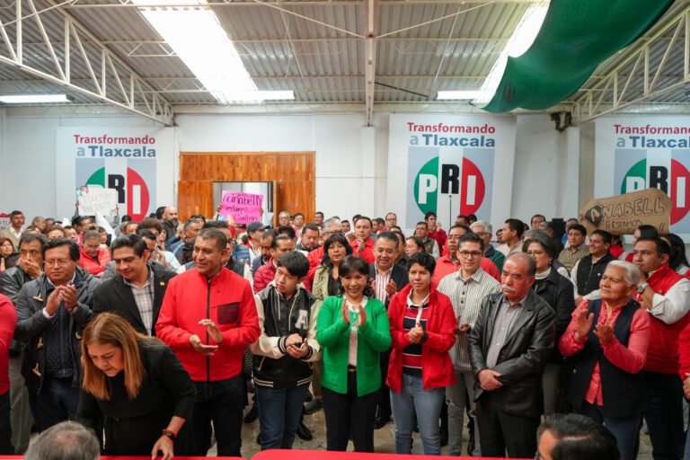 Anabell Ávalos Solicita Licencia al Cargo de Presidenta del CDE del PRI
