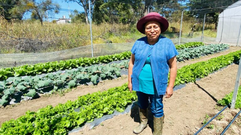 Otorgó Fomtlax créditos a grupos prioritarios en el segundo semestre del 2023