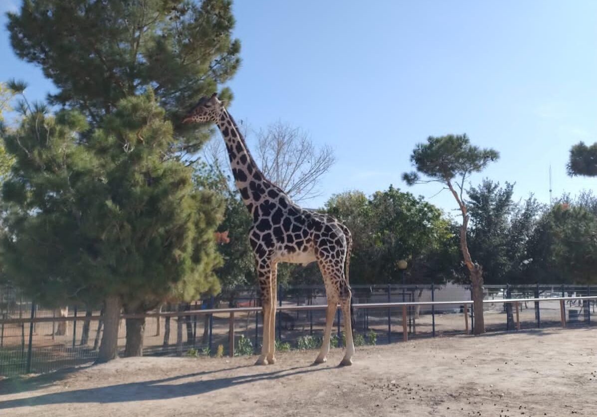 WhatsApp Image 2024-01-14 at 18.34.44 (2)