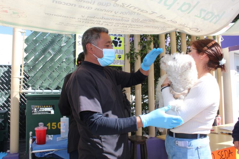 Inicia sector salud campaña de vacunación antirrábica canina y felina