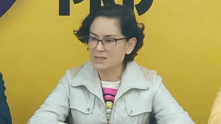 Claramente electoreras las reformas propuestas por el Presidente: Patricia Zenteno