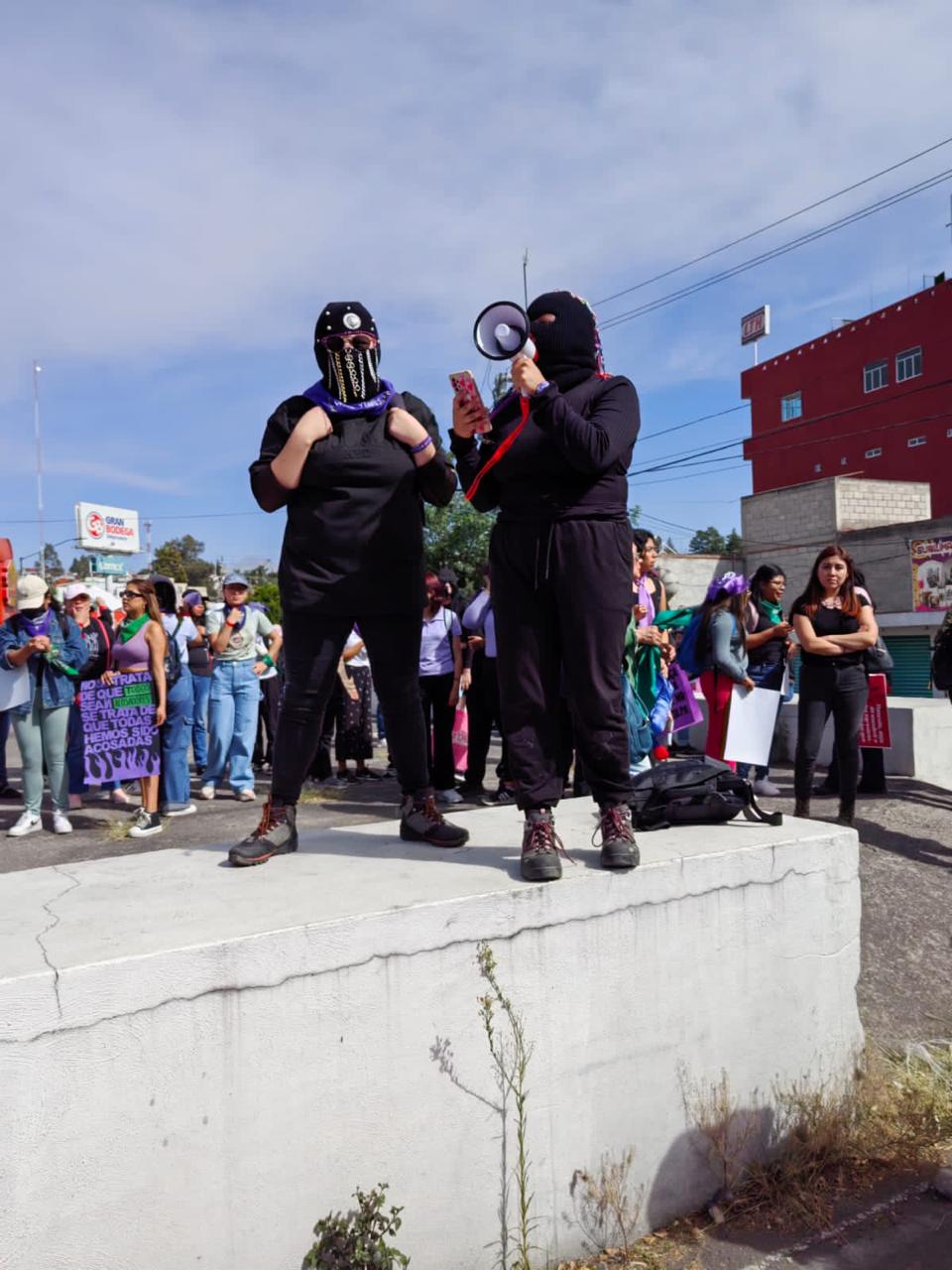 WhatsApp Image 2024-03-08 at 10.16.04 PM (3)