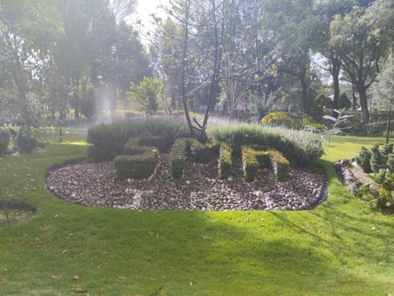 SMA recibe ceniza volcánica que será utilizada como fertilizante en trabajos de reforestación