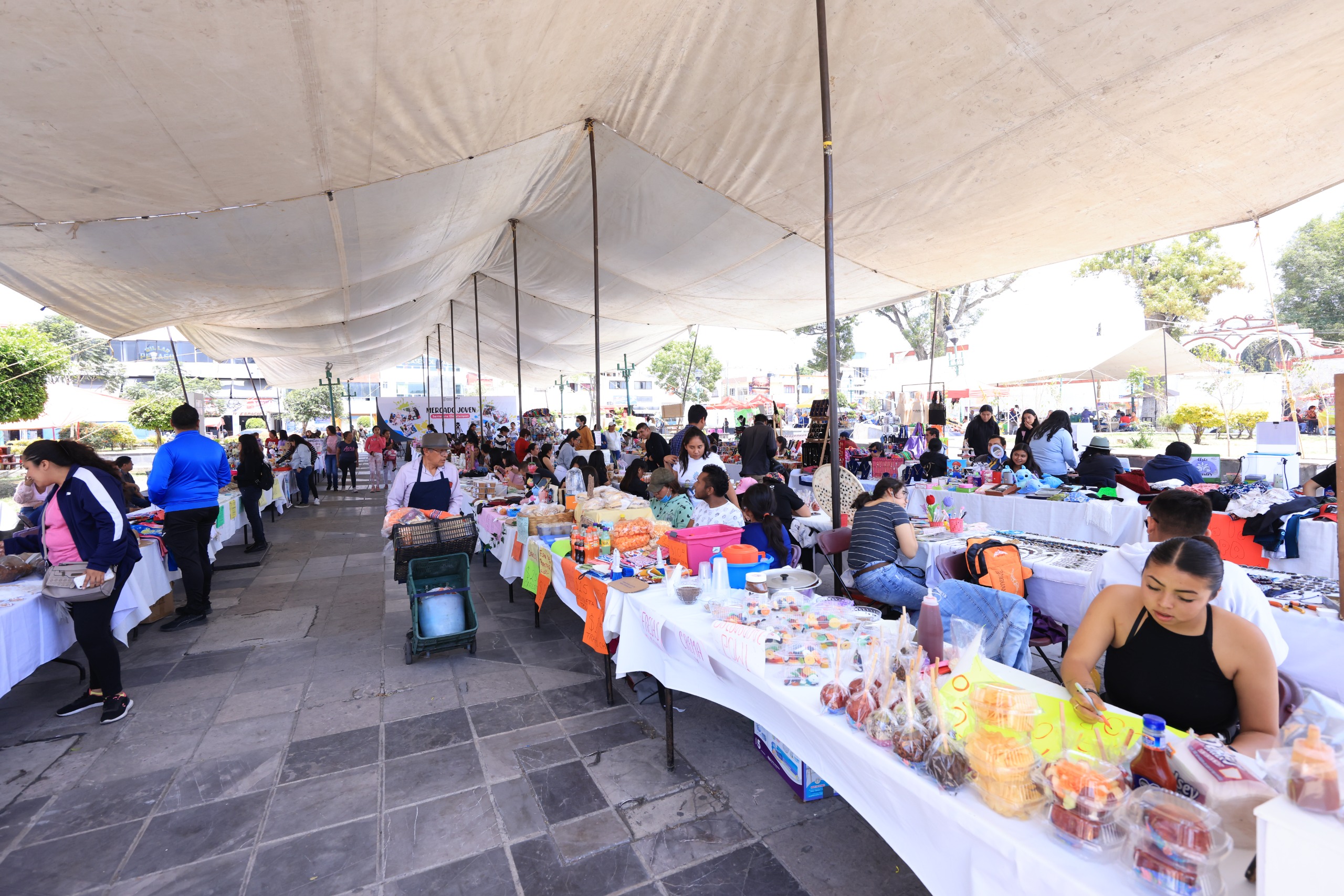 WhatsApp Image 2024-03-23 at 6.09.50 PM (1)