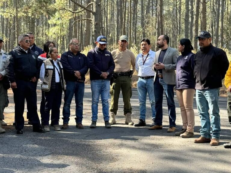Exhorta SMA a Proteger Macizos Forestales en Época Vacacional