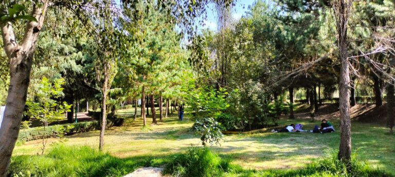 Fomenta SMA la Visita y Cuidado de Áreas Naturales en Temporada Vacacional