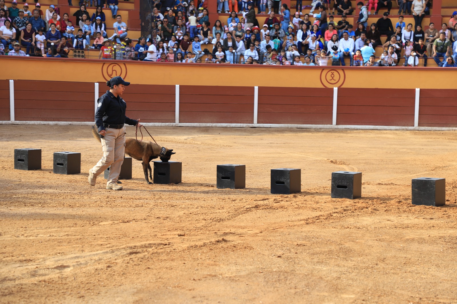 WhatsApp Image 2024-05-02 at 10.50.37 PM (1)