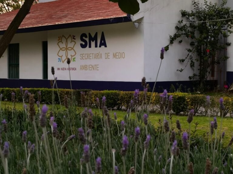 SMA Informa Sobre Calidad del Aire por Fuertes Vientos
