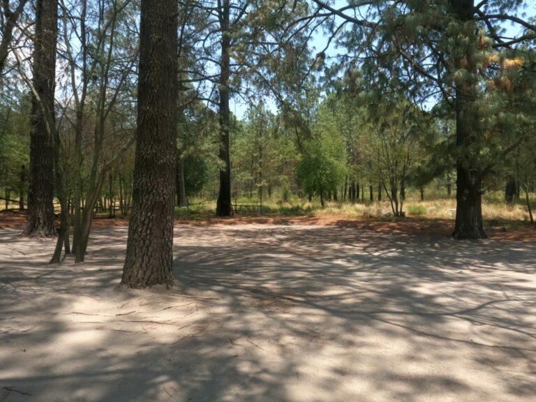 Invita IDET a participar en el Primer Trail Raicing Series 2024 Malintzi Tlaxcala