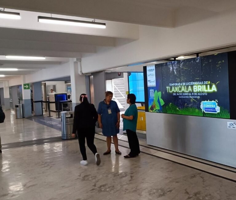 Llega Temporada de Luciérnagas 2024 a las Pantallas Digitales del Aeropuerto Internacional de la Ciudad de México